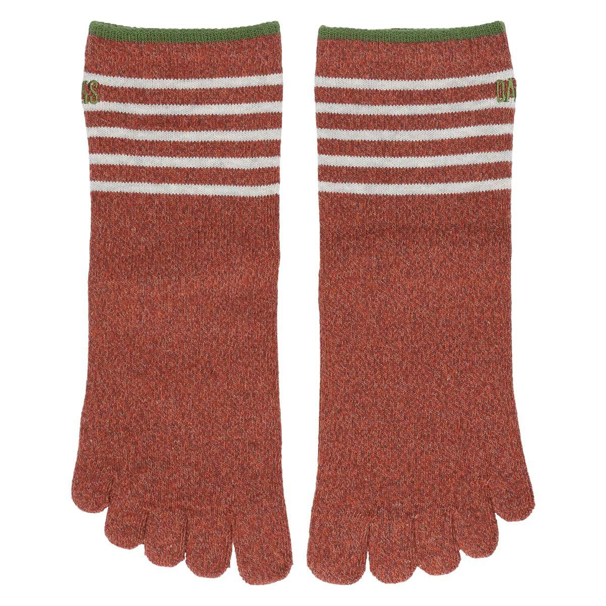DAKS 5本指 ボーダー 抗菌防臭加工 DAKS刺繍 クルー丈 ソックス 日本製