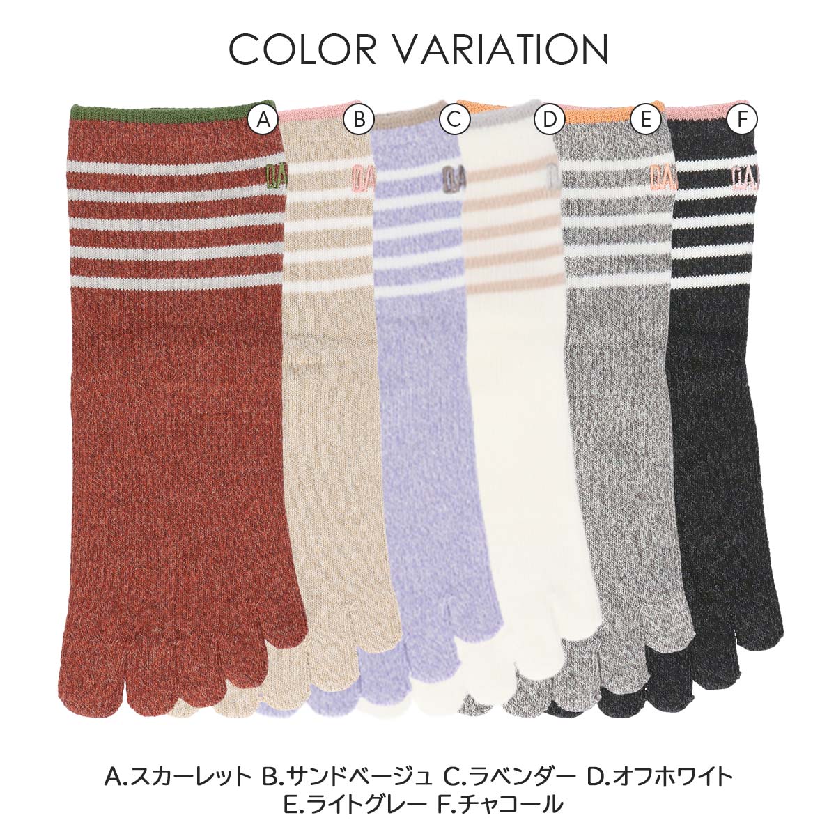DAKS 5本指 ボーダー 抗菌防臭加工 DAKS刺繍 クルー丈 ソックス 日本製