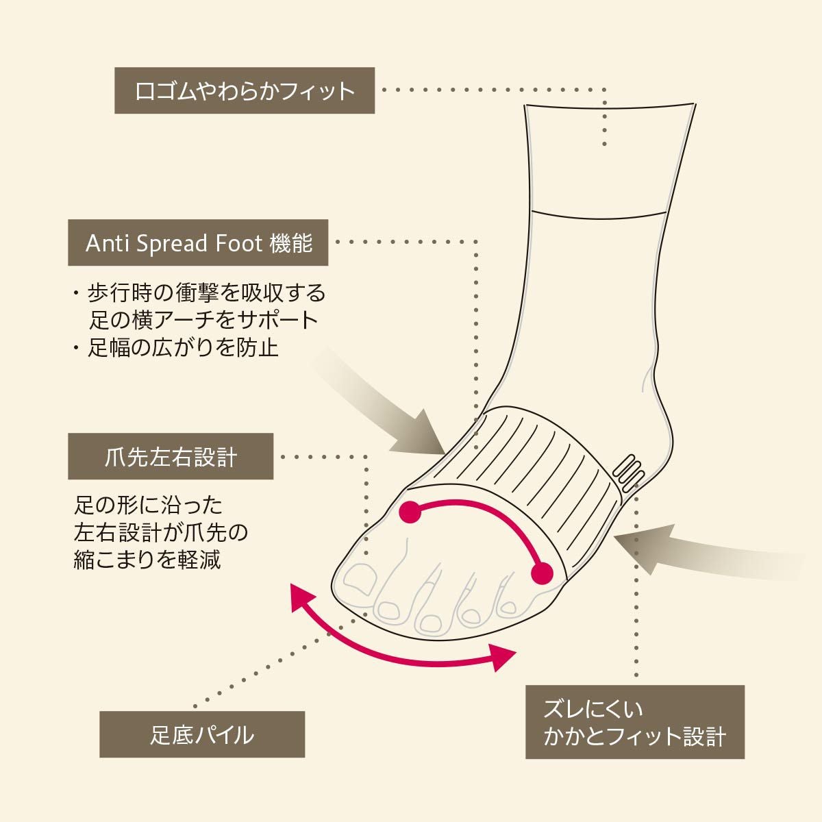みんなのくつした 【締めつけない靴下】 横アーチサポート クルー丈